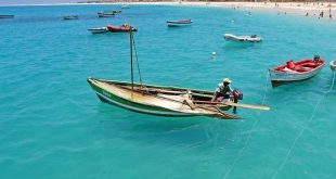 Il futuro dell’energia: la tecnologia verde per il pianeta