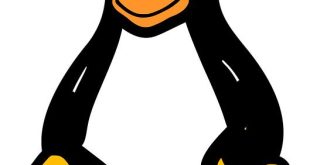 L’impatto nascosto della tecnologia open source