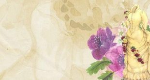 La storia del web: dalle origini alla sua esplosione