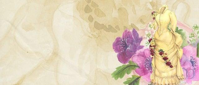 La storia del web: dalle origini alla sua esplosione