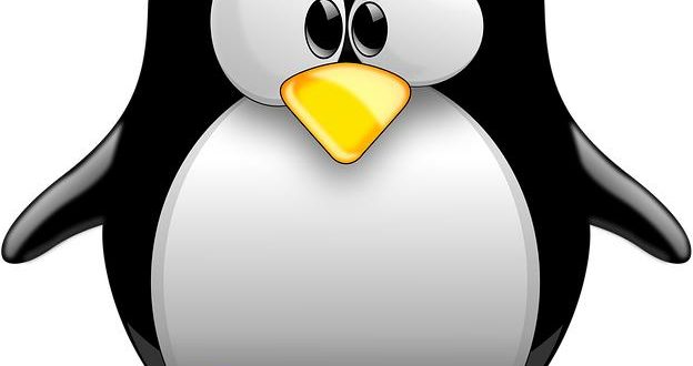 I sistemi operativi alternativi: Linux, Chrome OS e altri