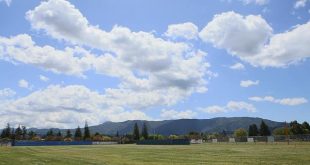 La storia di Silicon Valley: da frutteto a capitale tech