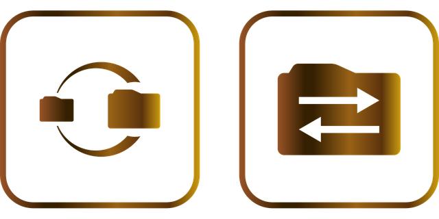 L’importanza dei backup: come non perdere mai i tuoi dati